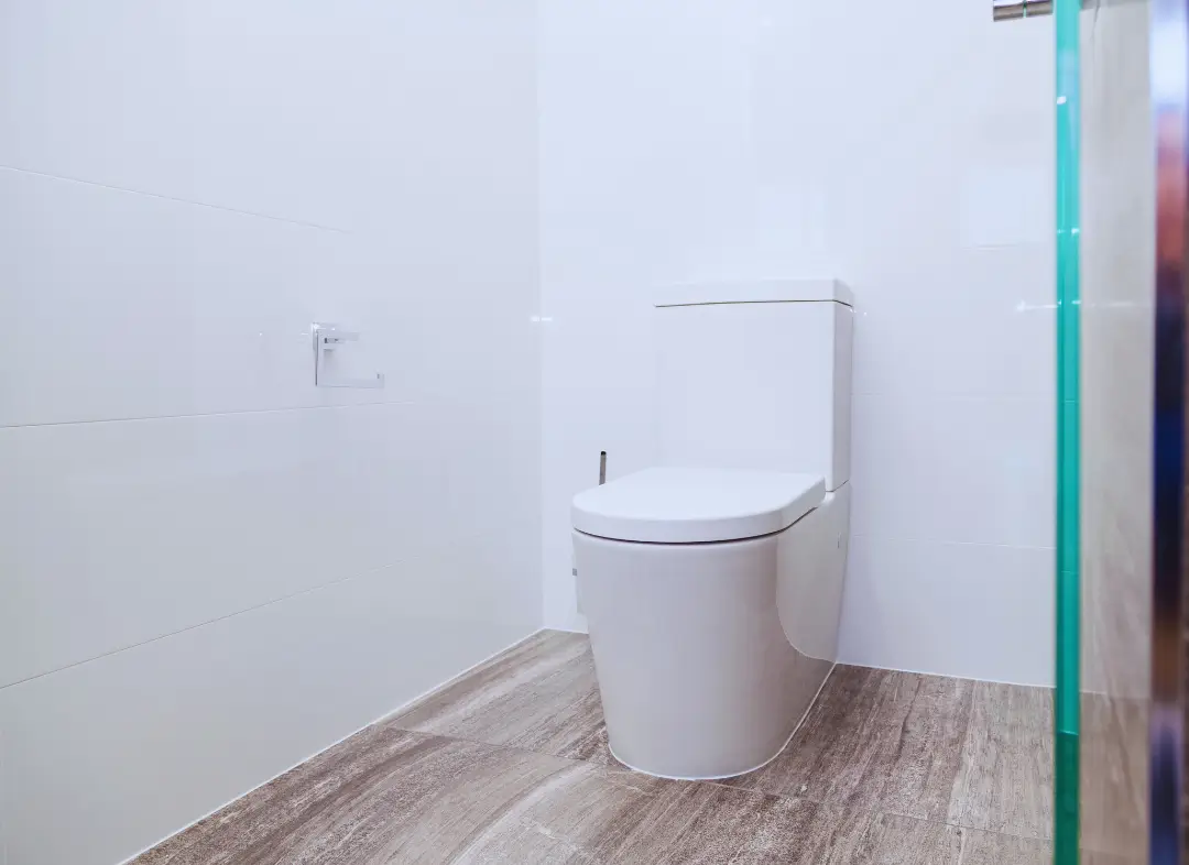 Remplacement de wc Chalonnes-sur-Loire