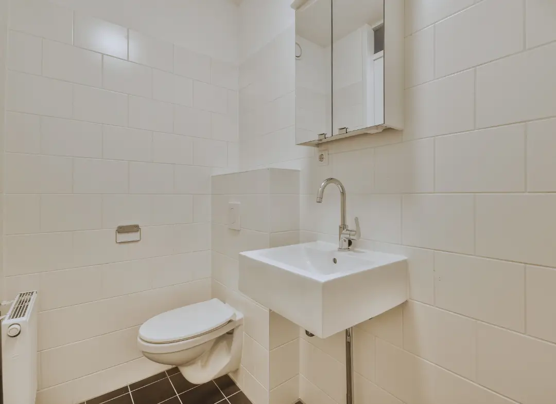 Pose WC Suspendu Chalonnes-sur-Loire